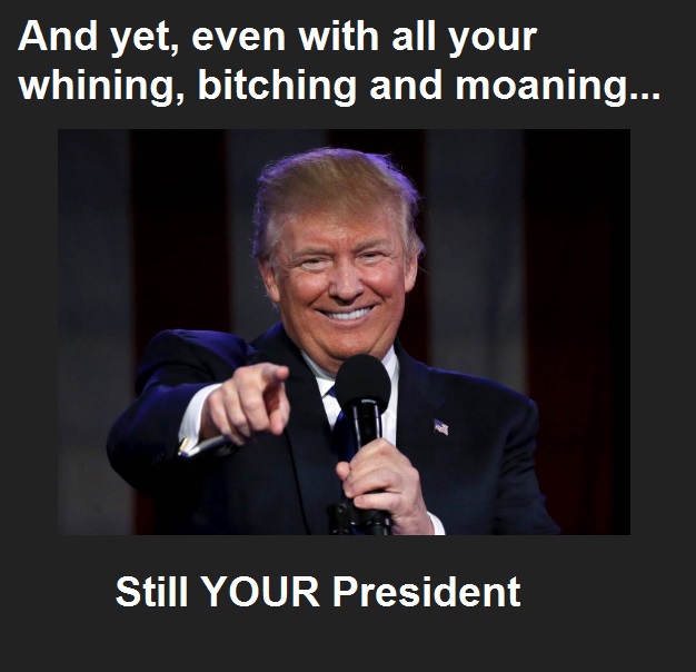 PatriotFLA tweet media