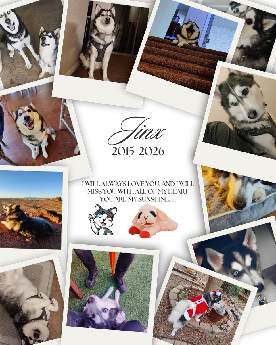 Aila Link tweet media