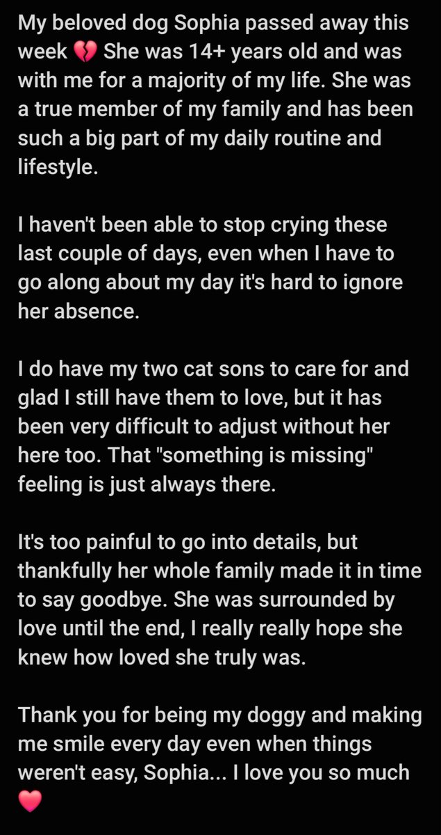ca3_crazyanime3's tweet image. thank you for these 14 cherished years with you, Sophia 💔 Rest in peace, my dear sweet girl... my heart has been aching for you every day