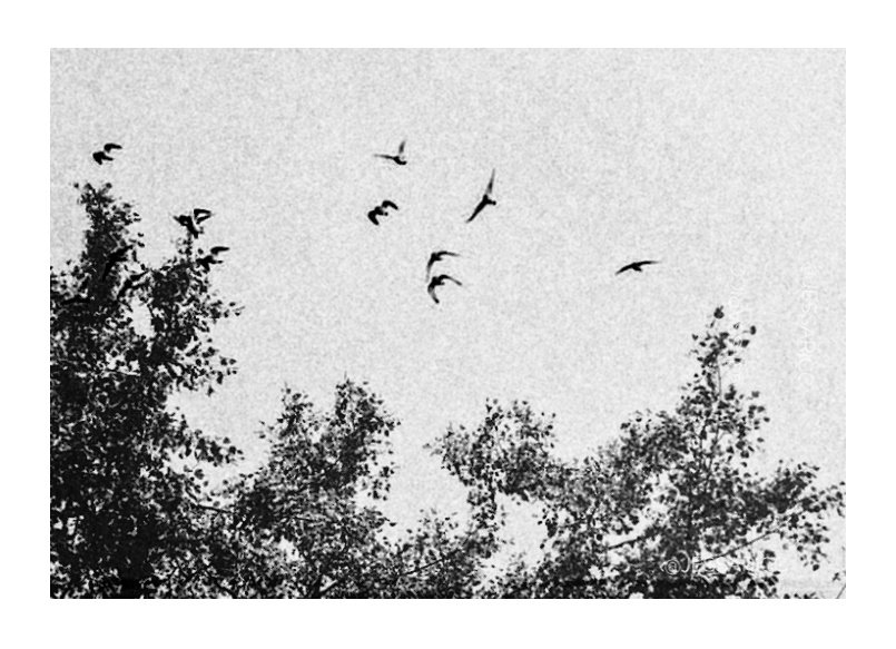 jessaricc's tweet image. “Maybe it's not about happy ending, maybe it's about the story."
         — Albert Camus