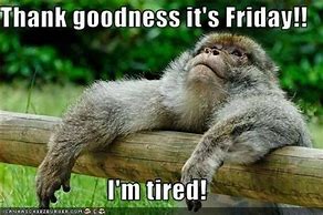 SFAgentTim's tweet image. Two weeks after the holidays, who is feeling this way??? #TalktoTim #StateFarm #FinallyFriday