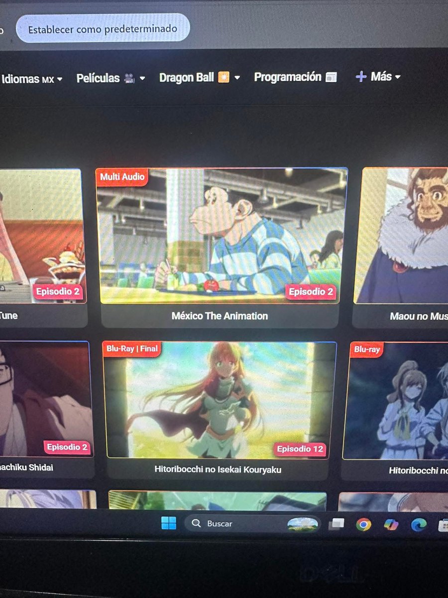 Que grande! 🇲🇽😎