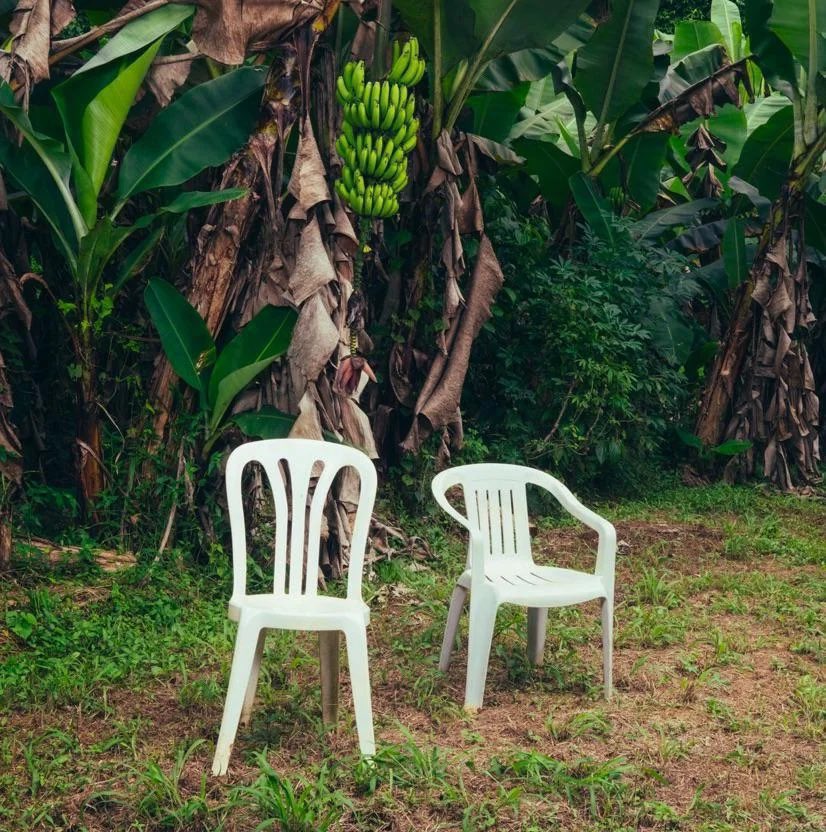 Bad Bunny’s “DeBÍ TiRAR MÁS FOToS” has now surpassed 8.6 BILLION streams on Spotify. 📸🐸