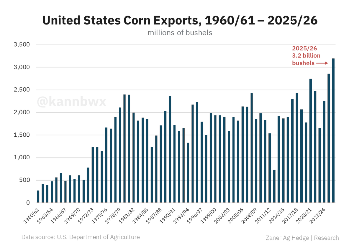 Karen Braun tweet media