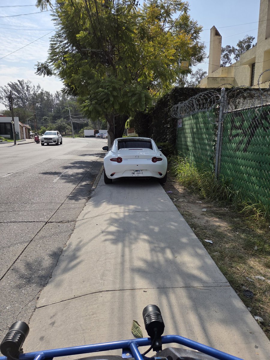 ColomosProvi tweet media