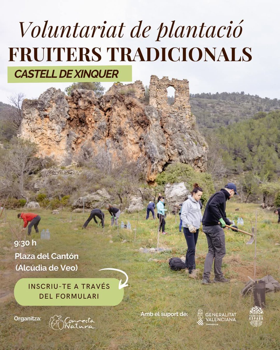 Espadànics escaldats🦎 tweet media