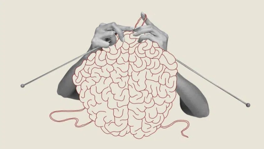 الدماغ ينمو ويتغيّر كلما تعرّض لتحديات جديدة: تعلّم، خبرات، مهارات، وحتى علاج نفسي. ليس عضوًا ثابتًا، بل مرن (Neuroplasticity).

الدراسات تبيّن أن الدماغ الذي يُواجَه بالتحدّي يصبح أكثر تعقيدًا ونشاطًا وقوة. التعليم العالي، تعلّم مهارات جديدة، والعمل في وظائف ذهنية معقّدة يزيد