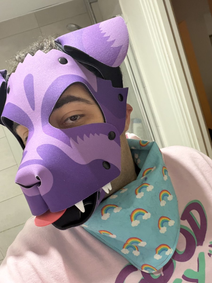 TylerWusky's tweet image. Nervous to post this..

But I got my hood from @wruffstuff today and wanted to show it off! Arf arf~ 💜🐾