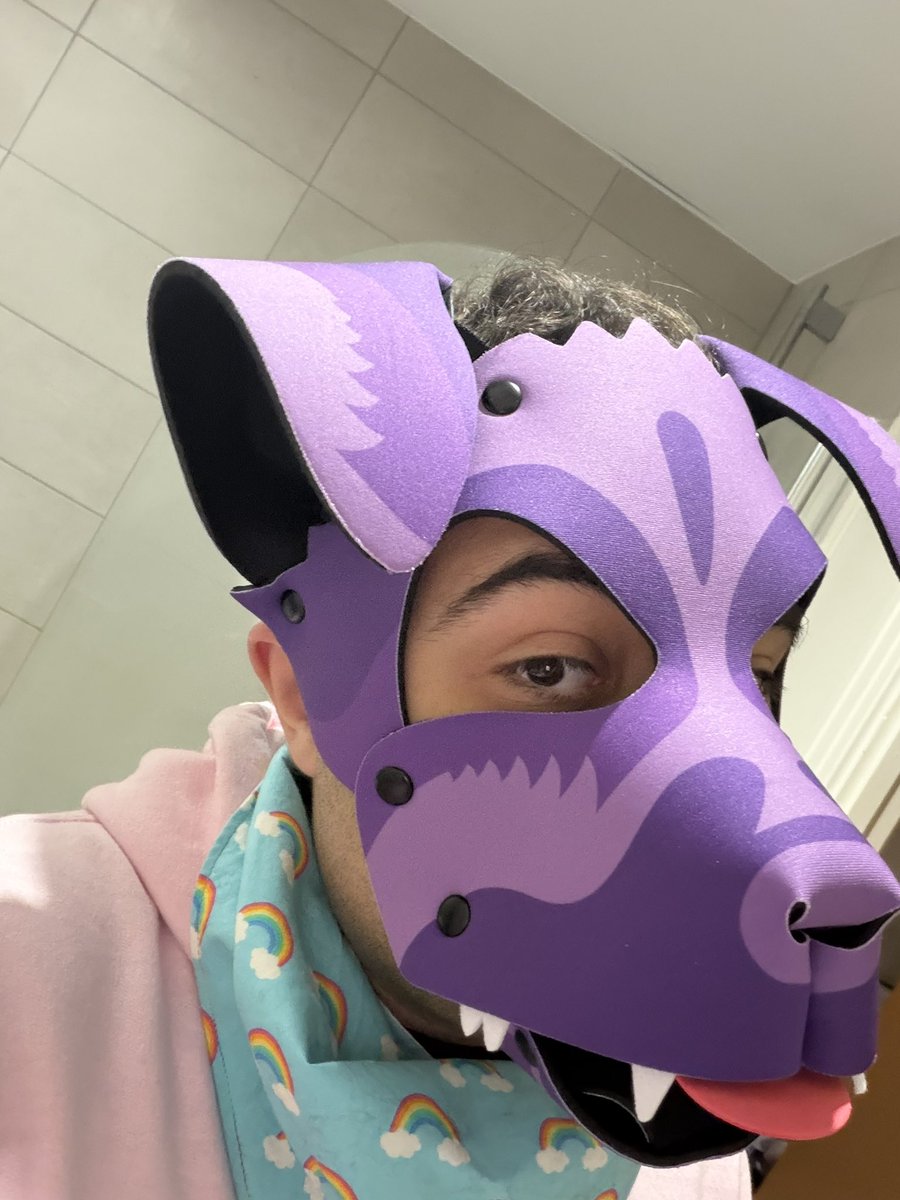 TylerWusky's tweet image. Nervous to post this..

But I got my hood from @wruffstuff today and wanted to show it off! Arf arf~ 💜🐾