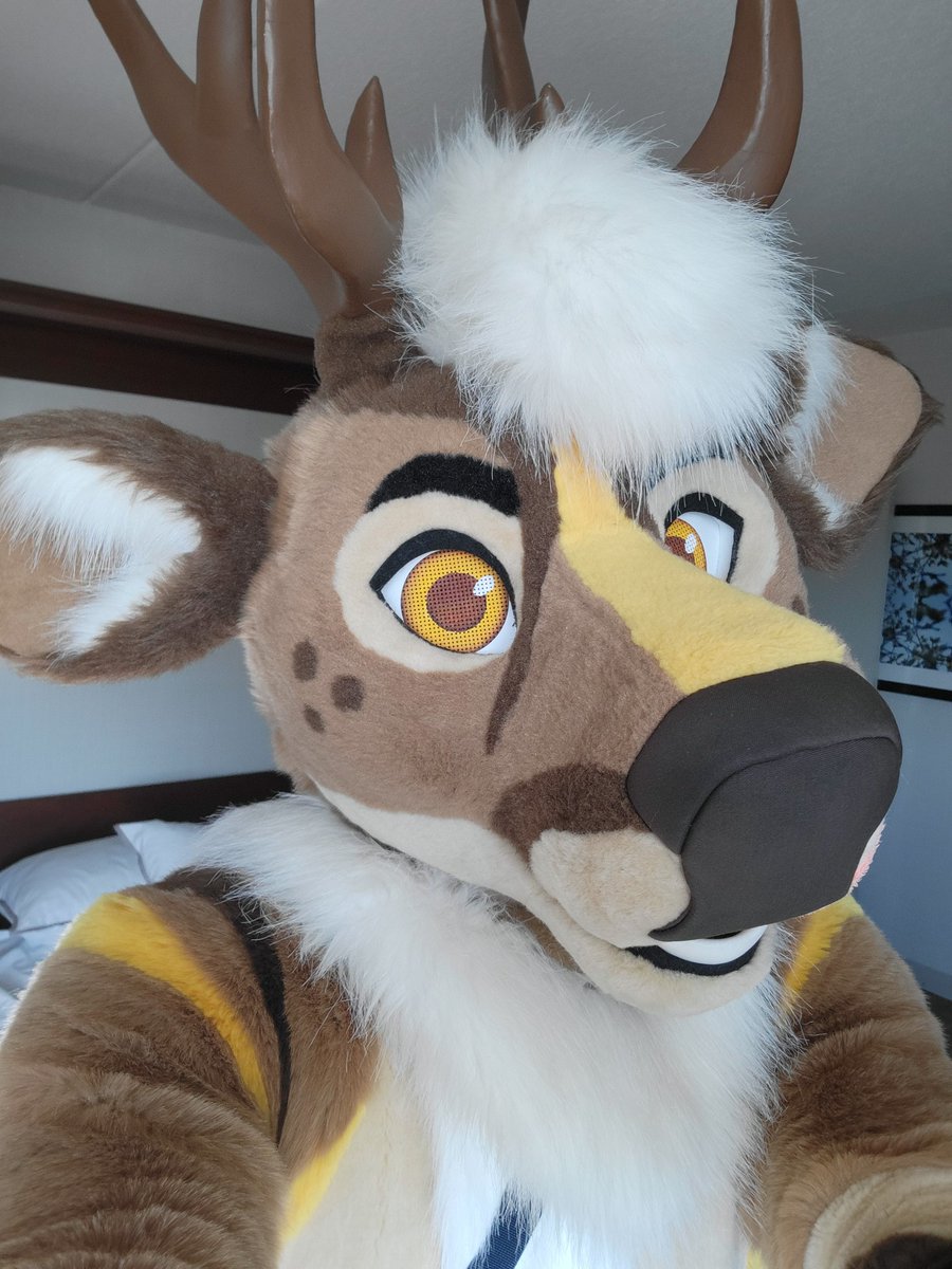 Parsec 🦌 tweet media