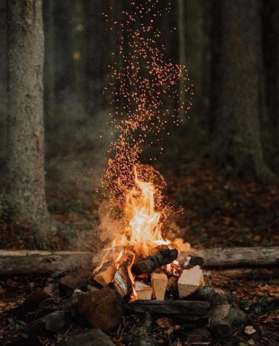 Hay un tipo de tristeza que viene de saber demasiado, de ver el mundo como realmente es.
Entender que la vida no es una gran aventura.
Y en ese entendimiento, hay una profunda soledad, una sensación de estar aislado del mundo, de otras personas, de uno mismo.

🖋️V. Woolf
📷Web