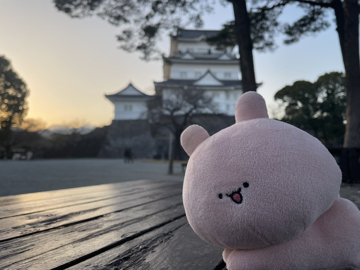 小田原城and推し

歴史的建造物が大好きだから興奮したε٩(º∀º)۶зたまらん

良き思い出がまた増えた🥳👍