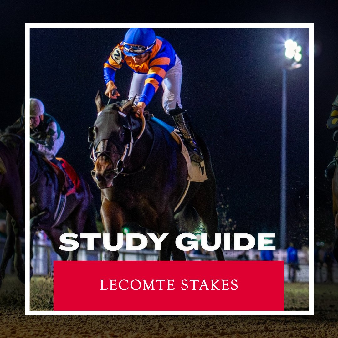 Interfaccia dell app di Stake Casino