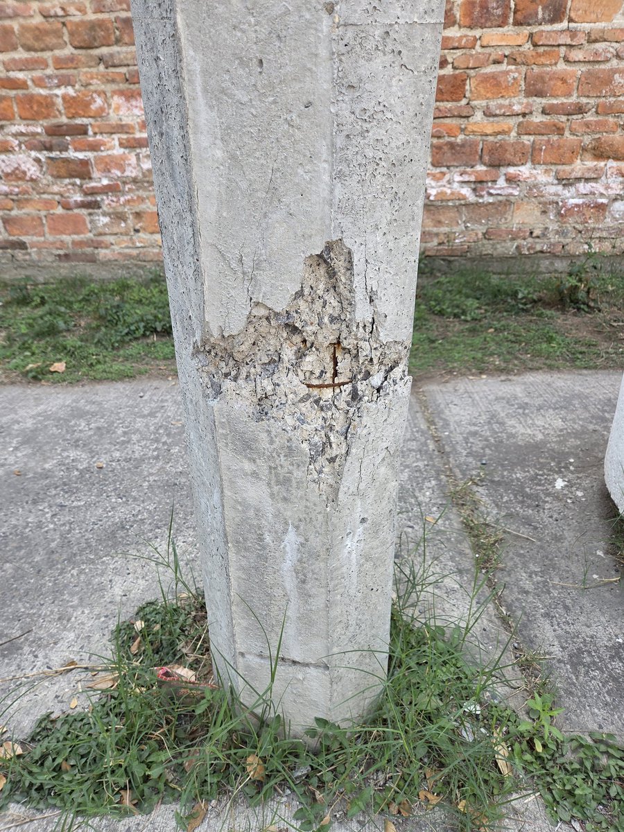 ColomosProvi tweet media