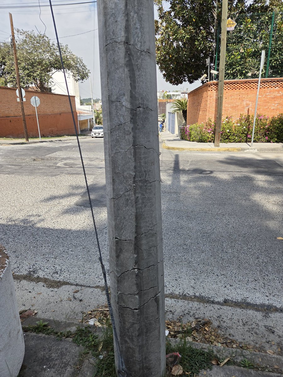 ColomosProvi tweet media