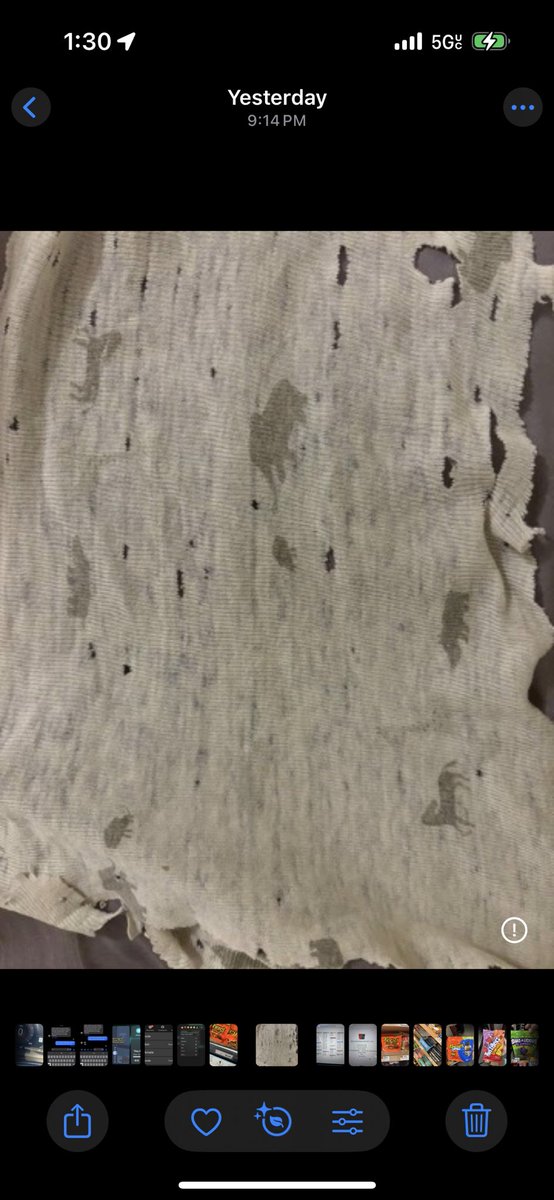 jackie bx tweet media