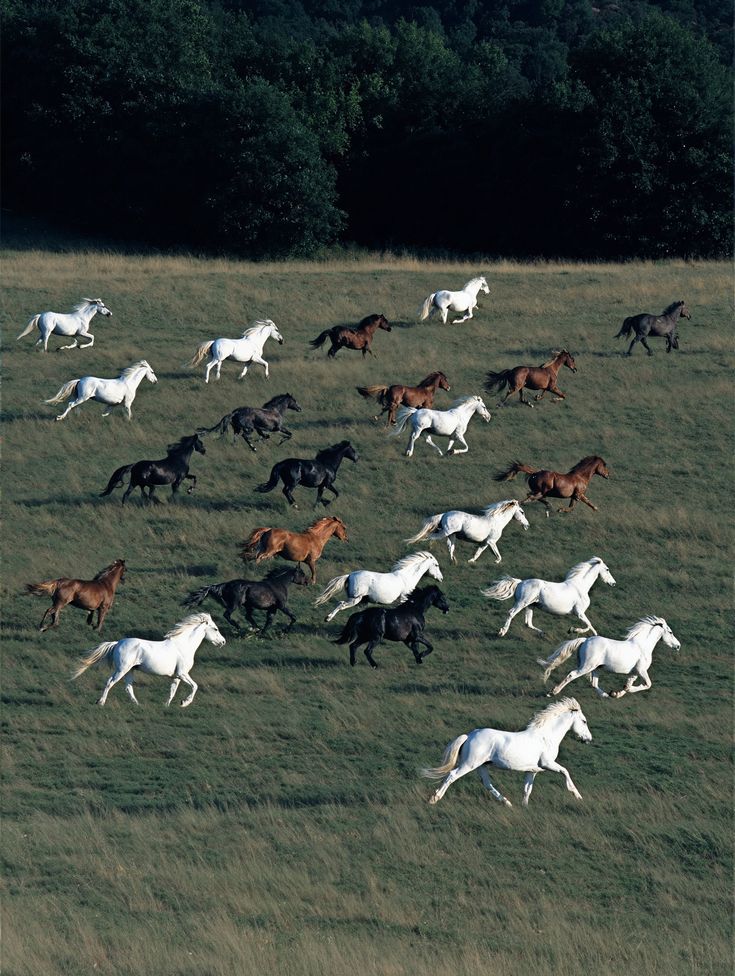 hîv. (@sorrrowfull) on Twitter photo 