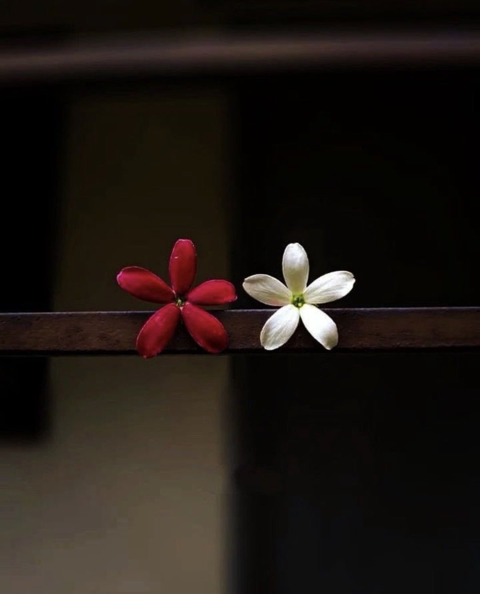 onalcelik65's tweet image. Kendine olan saygın başkalarının sevgisine dayanıyorsa, böyle bir sevgi değişken olduğu için hep kaygılı olursun. Buna “içi boş benlik saygısı” denir.
                                        Irvin D. Yalom