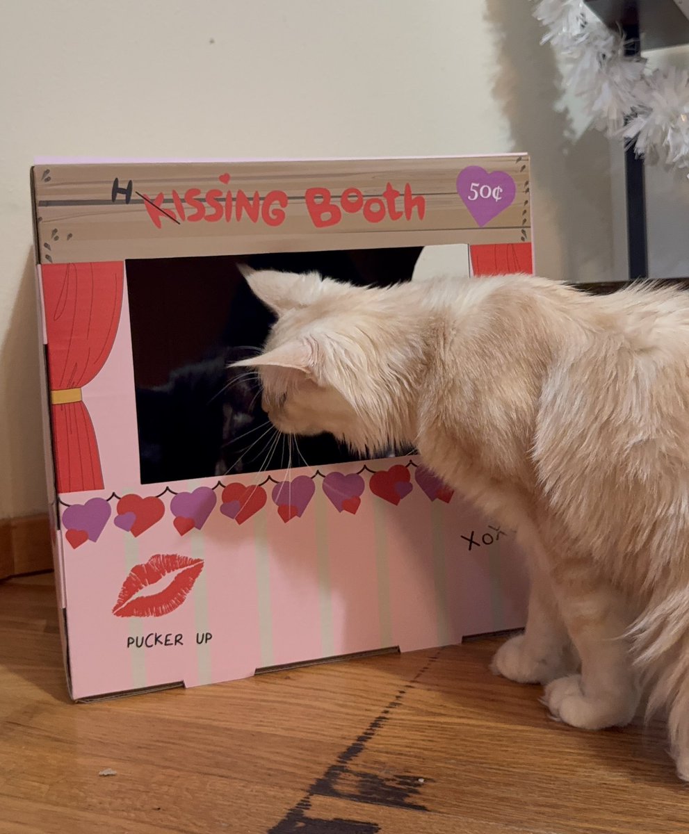 KatDestination's tweet image. The hissing booth looks to be living up to its name