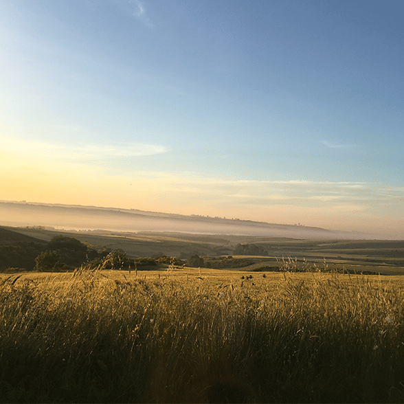 1,068 households and businesses in eight rural counties will be served by five broadband service providers through the Kansas grants. Read full article here: telecompetitor.com/kansas-bag-pro…

#ruralbroadband #rural