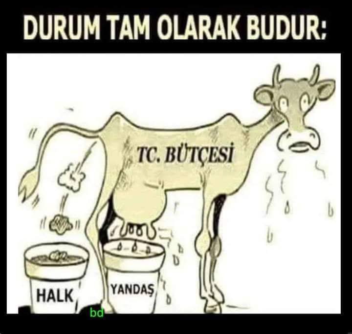 #şöyleki Ak Parti hükümeti yandaşlarına Kaynak kaymak var. Beşli çeteye Kaynak, kaymak var. Zenginlerin vergisini silmeye Kaynak var. Emekliye hakkını vermeye gelince Kaynak yok. Dışkı var.
Yeter artık yeter  hakkımızı alana kadar sokaklardayız
#SiziEmeklilerGönderecek