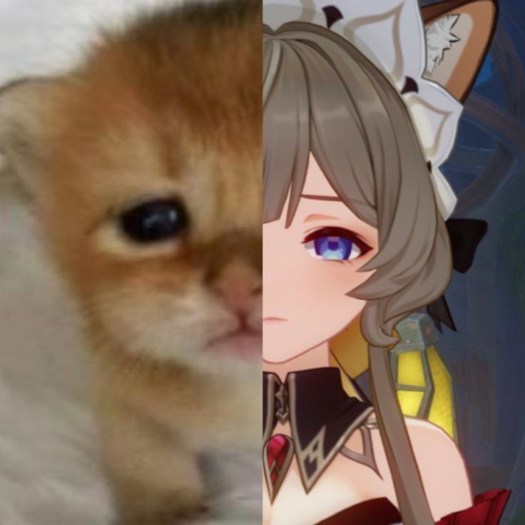 spinadiclorivia's tweet image. ssssssandrone😭😭😭😭😭😭😭😭😭😭😭😭😭😭😭😭😭😭sandrone sandrone💔😢Sandrone SANDRONESANDRONE ❤️ !!!!!!!!! s a n d r o n e 💔🥺🥺🥺😭😭😢 sandrone . sandrone . sandrone ! 😭😭💔💔💔😭👎 s4ndrone saaaannndroooone saaaaaaandrone 😄💔🥺😭😭😢👎👎 ¡sandrone! sandrone ...