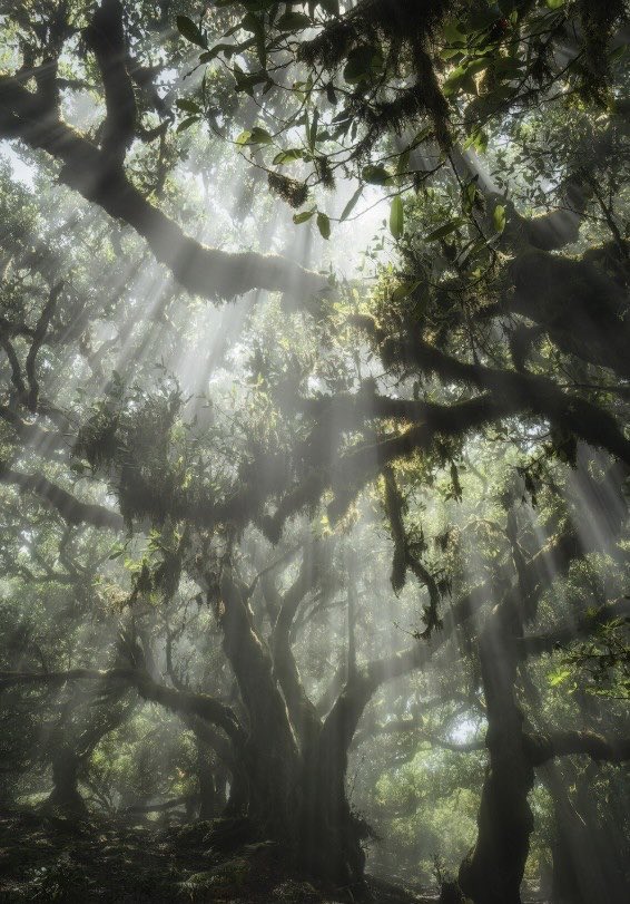 inreuo's tweet image. 