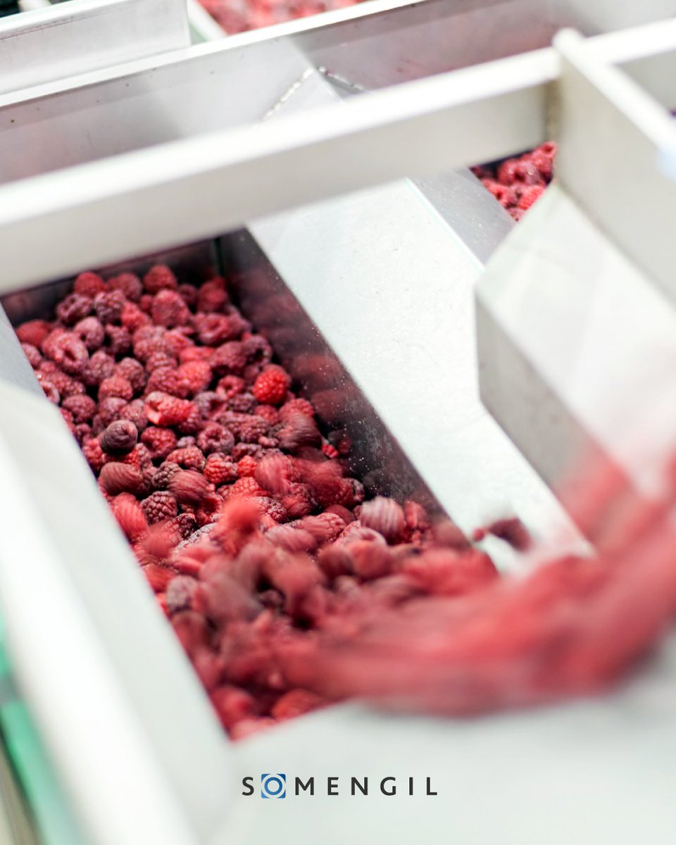 somengil's tweet photo. Washing equipment in a frozen food plant is often a problem that slows everything down.
Here's how to adress it. 
EN https://t.co/31mIhl7ako
PT https://t.co/5Sr2TTEa8F
ES https://t.co/rzlNOiaolw
FR https://t.co/96X7N1NcA4
DE https://t.co/7gLzzLnWfD https://t.co/jhLdXirkk7