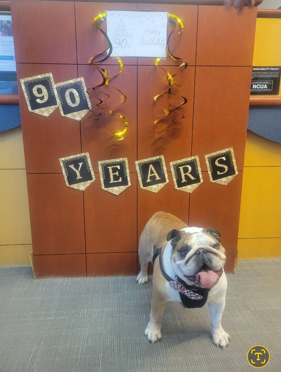 AffinityFCU's tweet image. December was full of community at #AffinityFCU! 💚

From the @NBTomorrow Gala &amp;amp; our 90th anniversary celebrations to Financial Reality Fairs at Ewing Township HS and Trenton Central HS — it’s all about #PeopleHelpingPeople.

#CommunityImpact #CreditUnionsCare #FinancialEducation