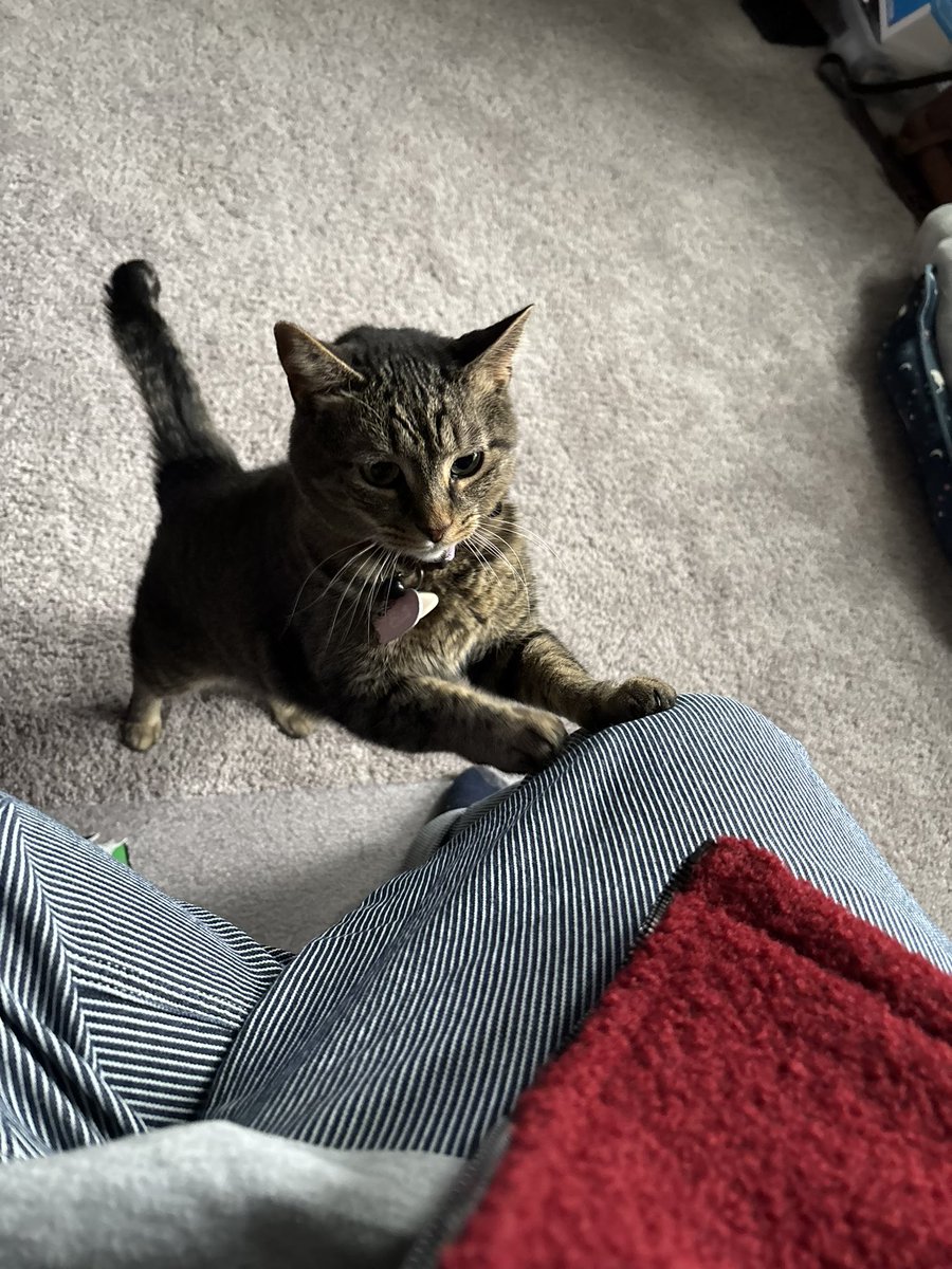 me wen dade no pay the tention to me 😿