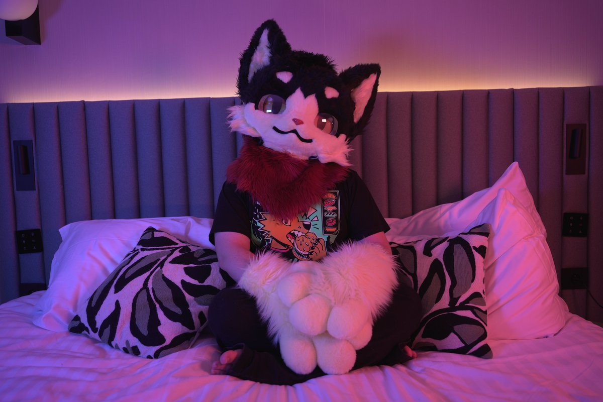 Just a cat waiting in the bed
Belly full, head empty
📸 <a href="/Pitou_Rikou/">Pitou Rikou</a>