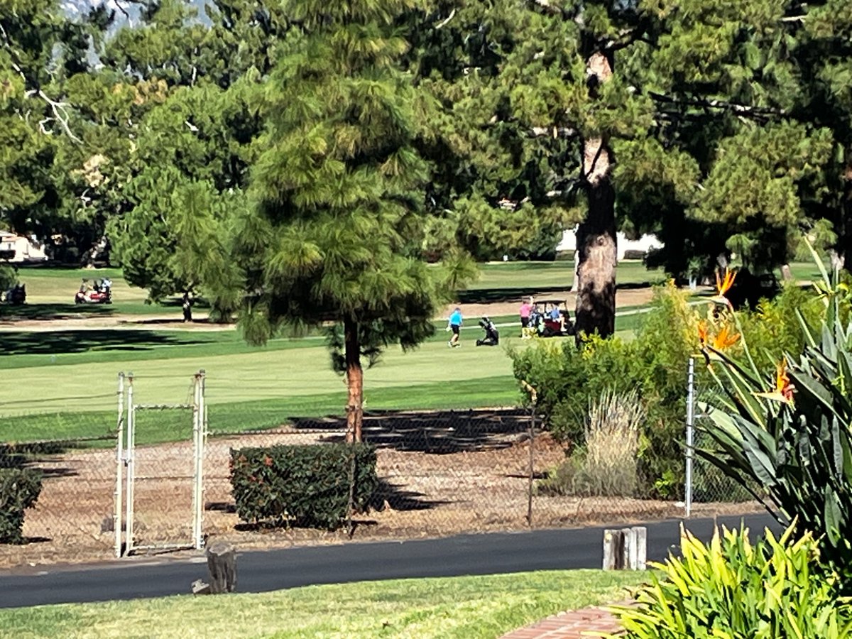 Over at the country club I watched a golfer following behind their self-driving cart of clubs.