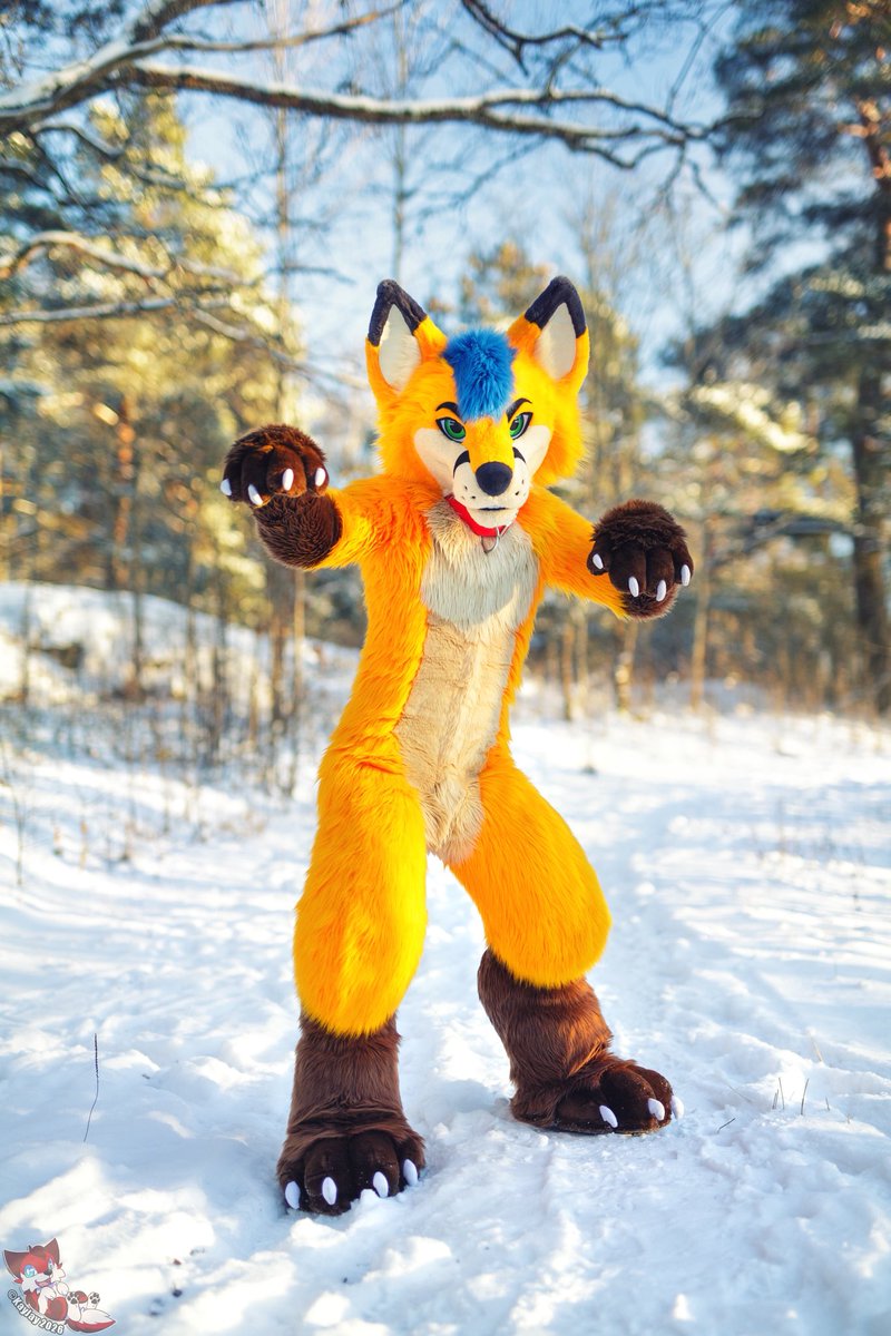 Electrix Fox tweet media