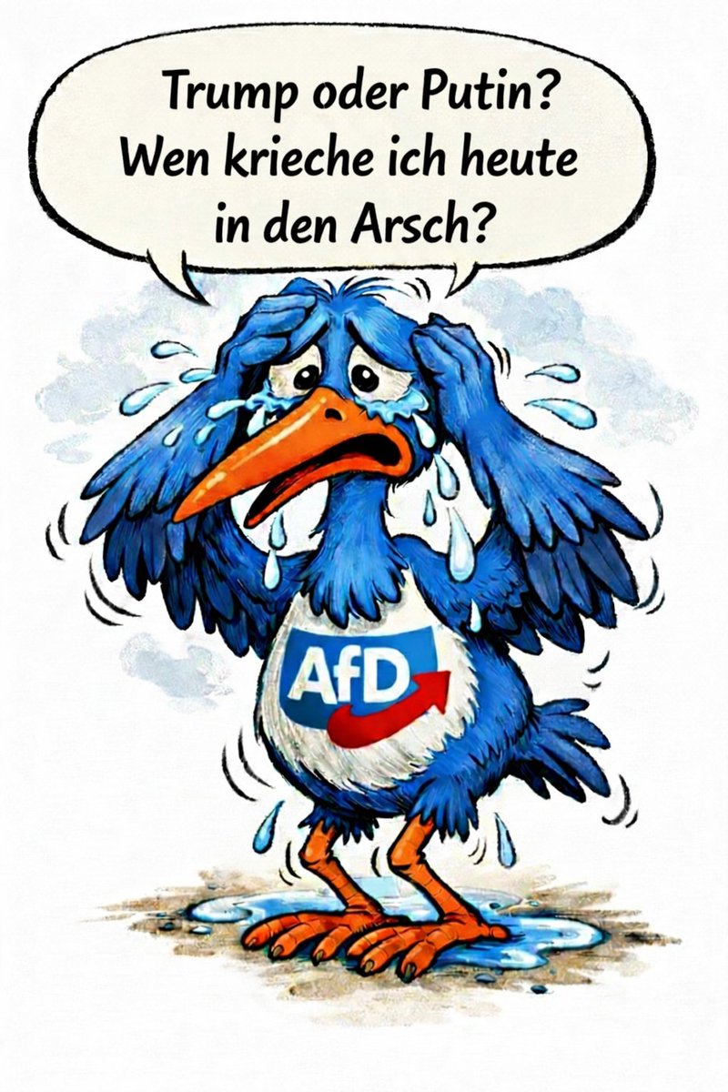 DerMischkabaer's tweet image. Frage due sich AfD Wähler jeden Morgen stellt