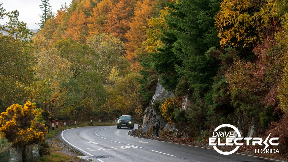 The average EV reduces about 1.5 million grams of CO2 annually! How do you feel knowing your EV is helping the planet?
#ClimateAction #DriveGreen

Read more about the benefits of electrification: driveelectricflorida.org/ev-101