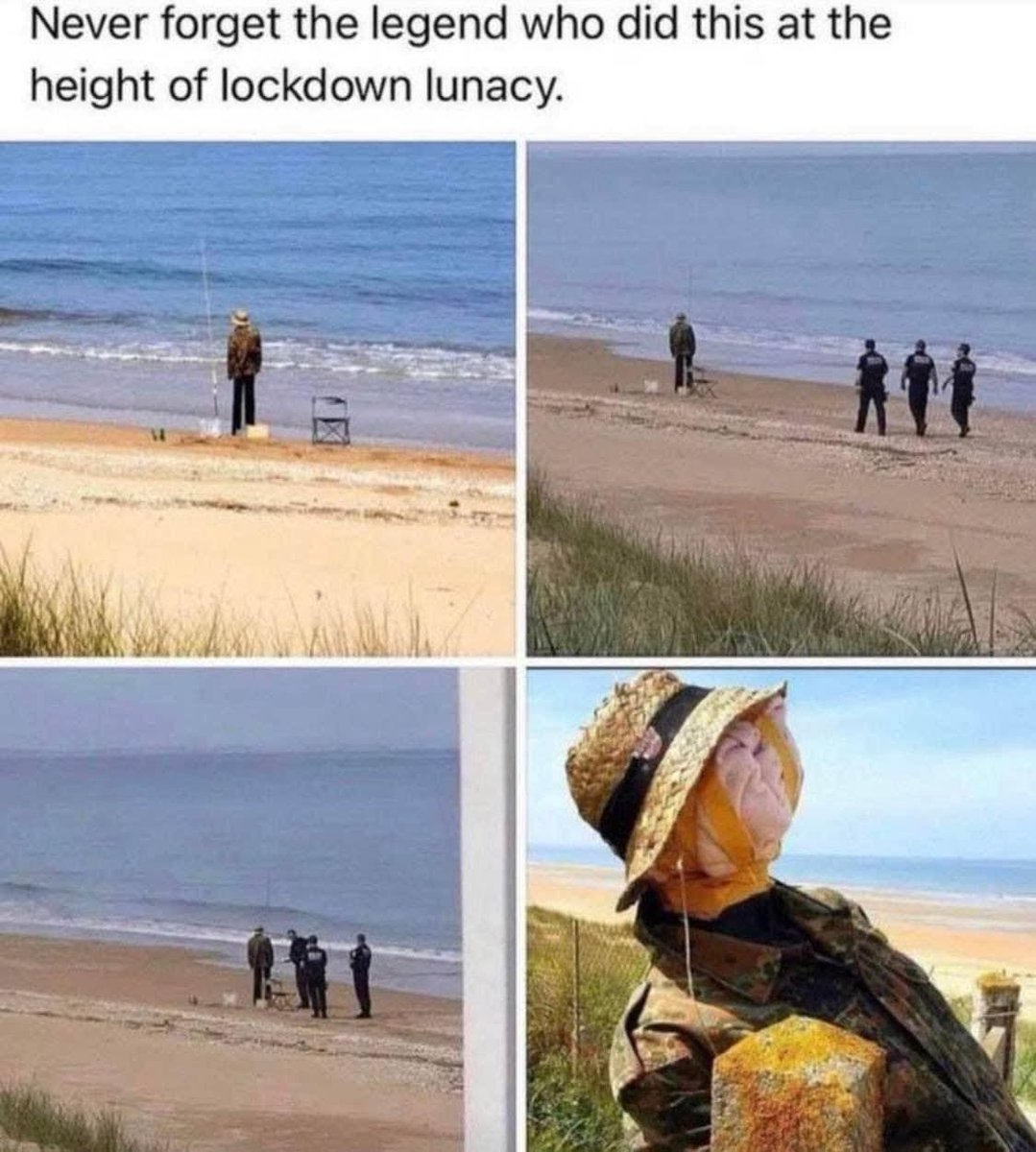 rabbitholebot's tweet image. 