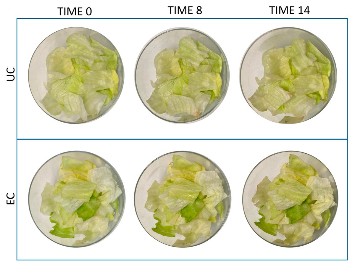 Colloids & Interfaces MDPI tweet media