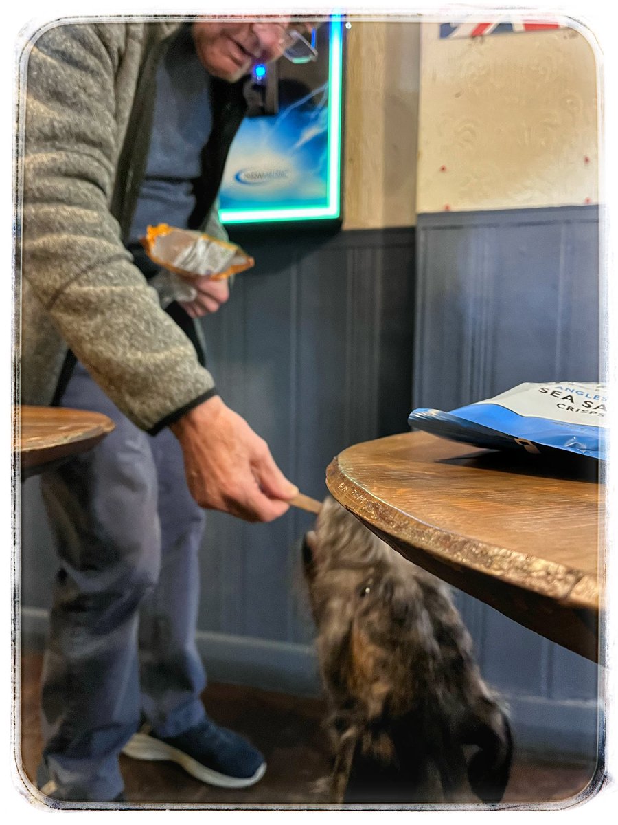 A 7 mile bimble along the Leeds and Liverpool canal today from Burscough to Heatons Bridge &amp; back. 

A pint in the Heatons Bridge Inn, a lovely traditional old pub with a roaring log fire and welcoming locals who fed Ralph treats. ☺️🐾🐾

Perfick! 👌

#AdoptDontShop.