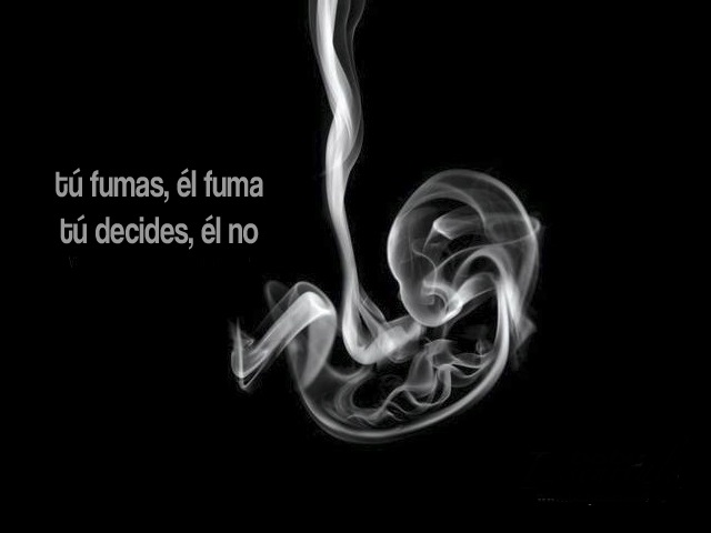 ObispoMunilla's tweet photo. ¿Cómo es posible que, si las autoridades sanitarias tienen esto tan claro, se pueda luego cuestionar que el feto es un ser humano —un sujeto diferente a mí— sobre cuya vida no tengo derecho a decidir?
#SiALaVida 
#Aborto
#tabaco https://t.co/qYYTDuaR2N