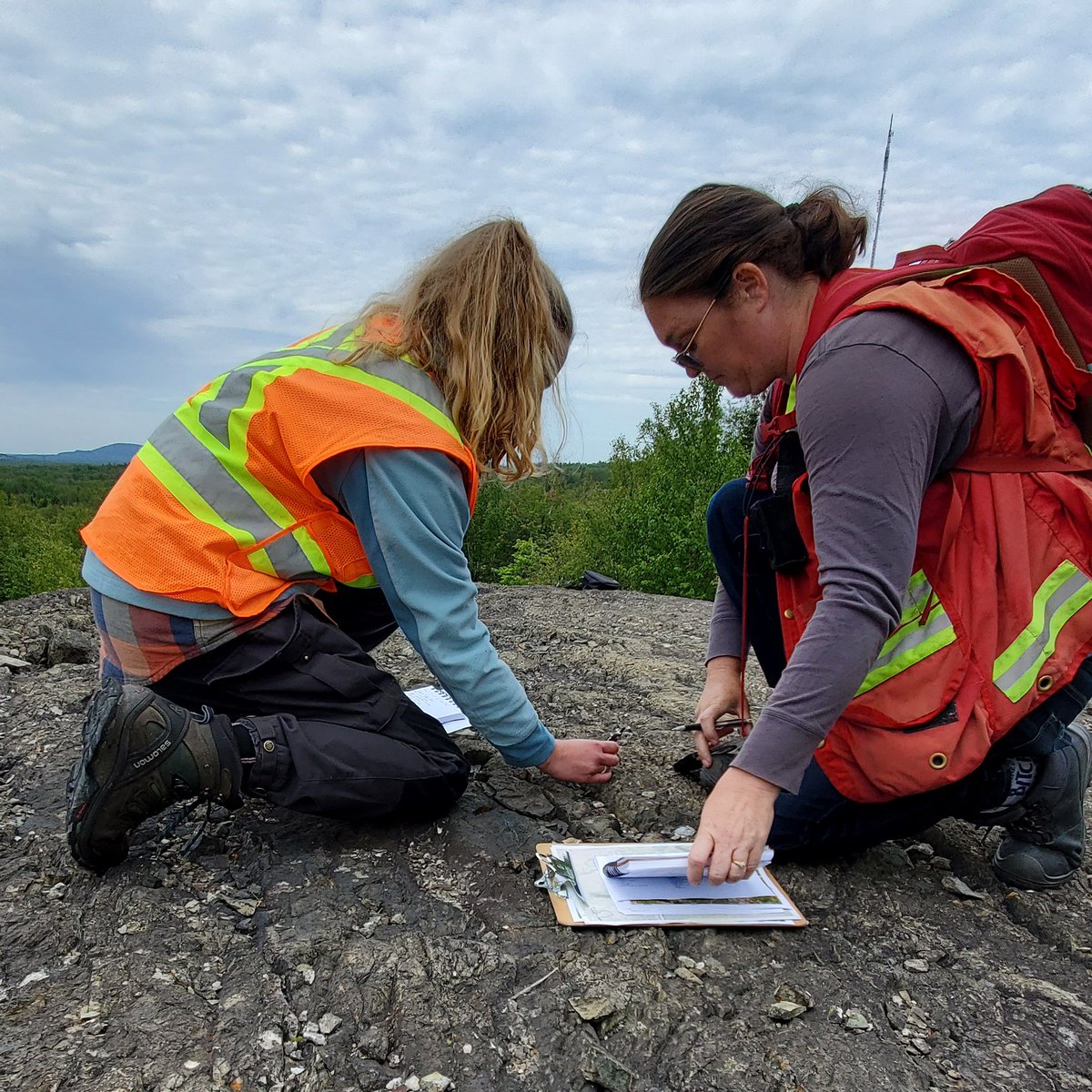 Mineral Exploration Research Centre (@merc_geoscience) on Twitter photo 🧭We are seeking applicants for a new fully-funded #MSC #Geology project w/ <a href="/ONgeology/">Ontario Geological Survey</a> & <a href="/HarquailES/">Harquail School of Earth Sciences</a>! Starts: spring 2026 🗺️
Expect extensive bedrock geology mapping & analysis. Apply now (or share the post)!
merc.laurentian.ca/sites/default/… #economicgeology <a href="/PDAC_Students/">PDAC_Students</a> 🧭We are seeking applicants for a new fully-funded #MSC #Geology project w/ <a href="/ONgeology/">Ontario Geological Survey</a> & <a href="/HarquailES/">Harquail School of Earth Sciences</a>! Starts: spring 2026 🗺️
Expect extensive bedrock geology mapping & analysis. Apply now (or share the post)!
merc.laurentian.ca/sites/default/… #economicgeology <a href="/PDAC_Students/">PDAC_Students</a>
