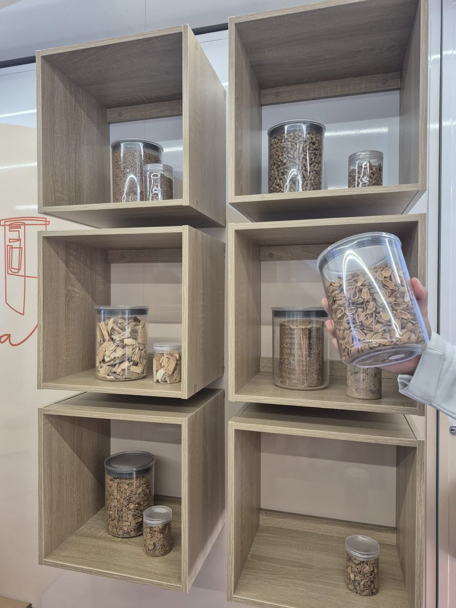 Hoy nos ha visitado la Asociación Española de Biomasa (AVEBiom) @avebiom Con ellos hemos realizado unos talleres, construimos un monte de forma bien gestionada y nos explican los diferentes usos de la madera. ¡Que enriquecedor ha sido!🌲🌳