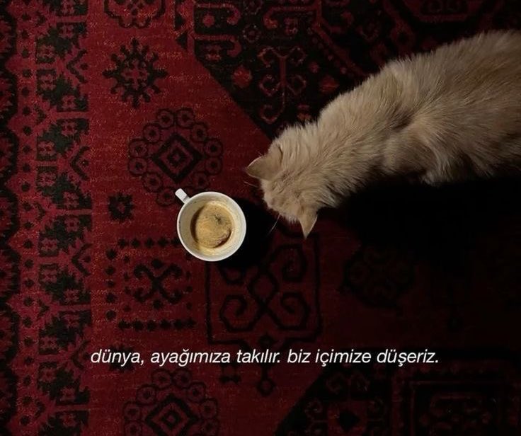 Ophelia (@opheliart_1) on Twitter photo 