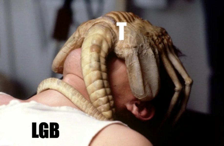 FredSargeant's tweet image. 