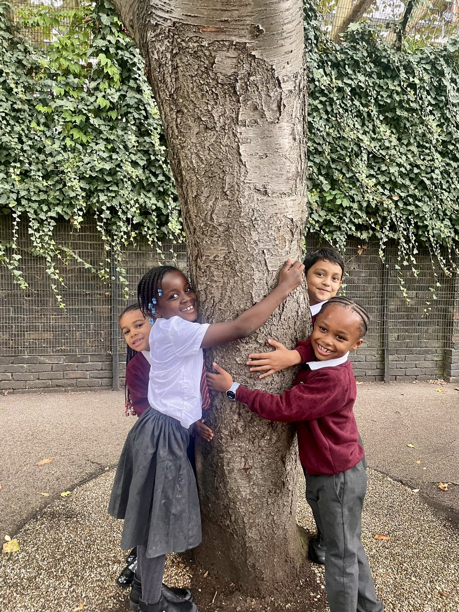 We need 4 hugs a day for survival, 8 for maintenance, and 12 for growth…
What then are the benefits of hugging a tree? It makes the world a better place for you and for me! ❤️ 
#Aweandwonder 🌎