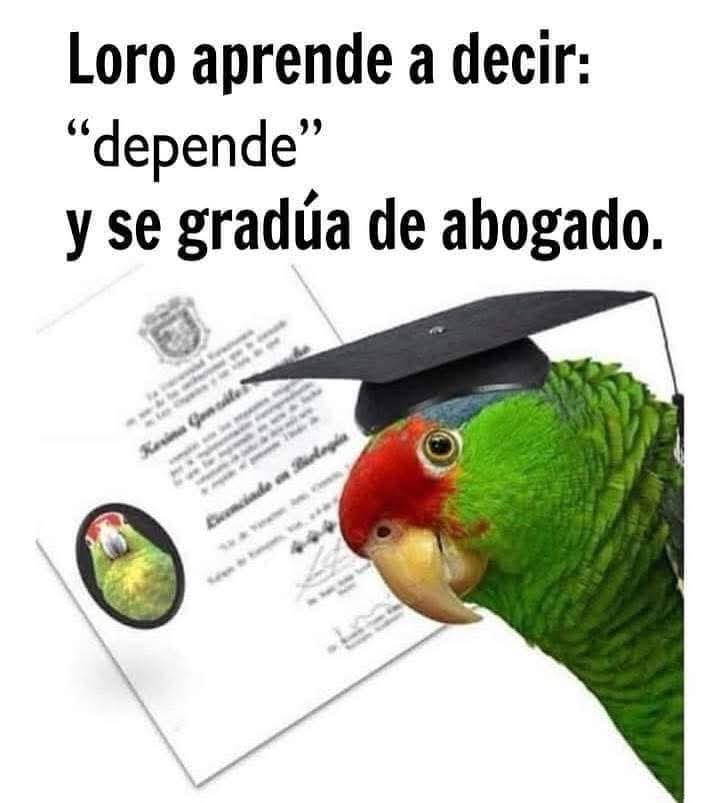 Igual que los nuevos ministros de la #SCJN #MinistraDelPueblo #hugoaguilar #MorenaNarcoPartidoTerrorista