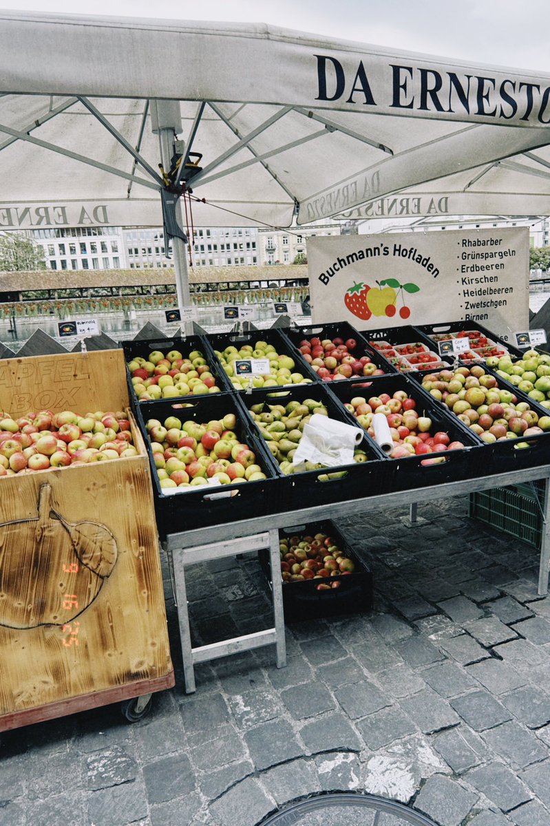 自然を観ながらワーケーション🌳
朝はマルシェによって、馬がいる綺麗な街並みの中で今日も今日とて仕事してます🐎
#スイスワーケーション