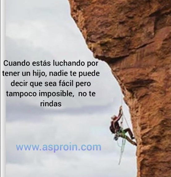 En Asproin somos solo pacientes con esta patología, está encaminado a luchar por la infertilidad y sobre todo ayudar a quien está pasando por este duro camino
#infertilidad #pacientesinfertiles #reproduccionasistida #buscandounhijo #asproin #Genética #padres #madres