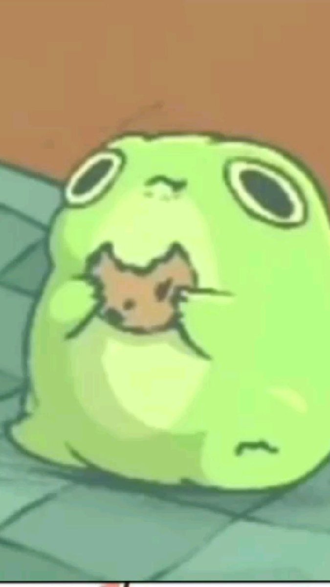 No Context Frogs (@nocontextfrogs) on Twitter photo 