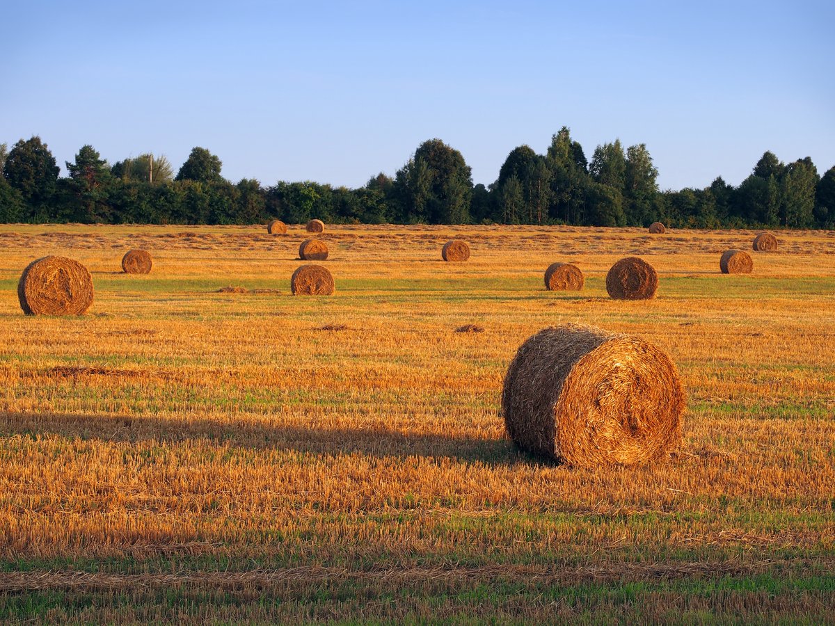 Kansas might not sound sexy as compared to the bright lights of New York, Chicago, and Los Angeles, but what we can offer is a lower cost of living, wide open spaces, and plenty of outdoor recreation. Intrigued? Click here! rebrand.ly/kkvd2lh