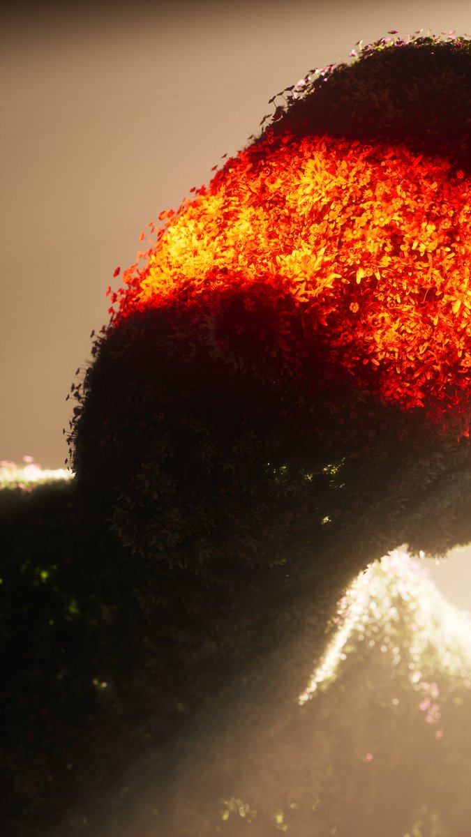 Jared Tod 💜 tweet media